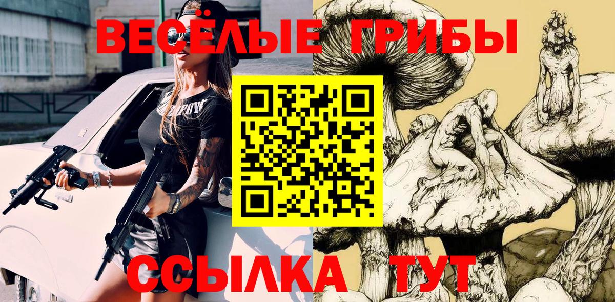 Галлюциногенные грибы GOLDEN TEACHER Каменск-Уральский